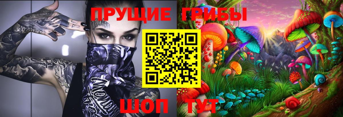 Осинники  Галлюциногенные грибы прущие грибы  Вход с VPN 