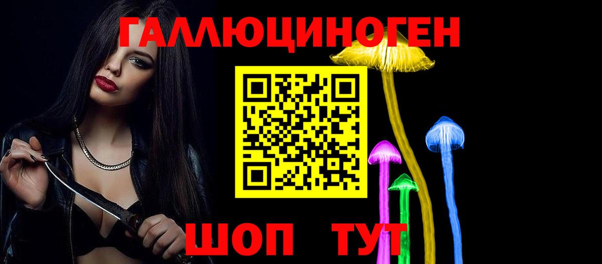 Галлюциногенные грибы Cubensis Осинники